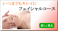 �ե�������륳����